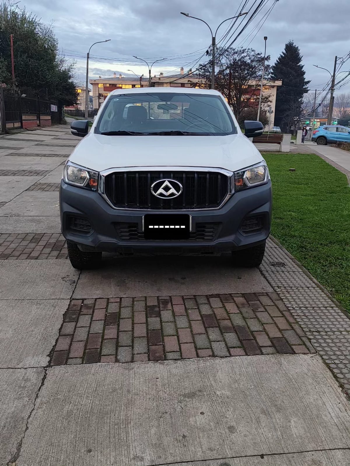 Maxus T60